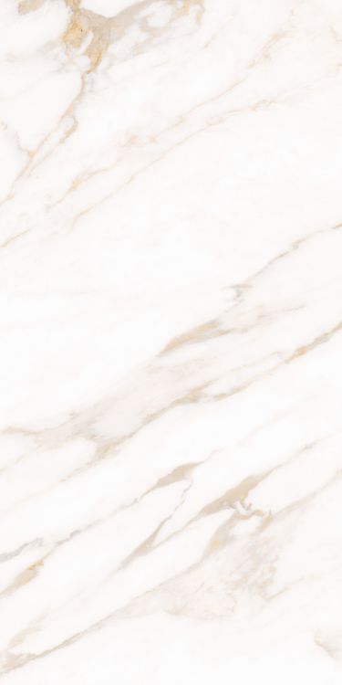 Classy Warm White Matte 24 x 48